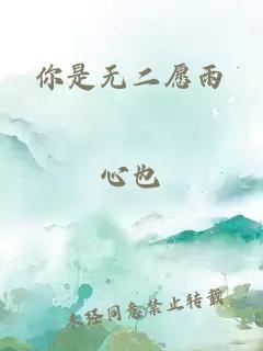 你是无二愿雨