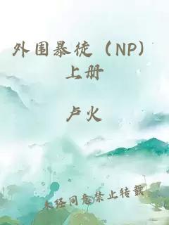 外围暴徒（NP）上册