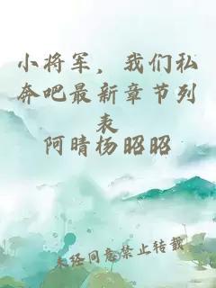 小将军，我们私奔吧最新章节列表