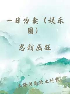 一日为妻（娱乐圈）