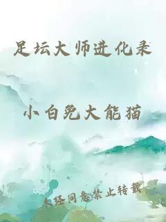 足坛大师进化录