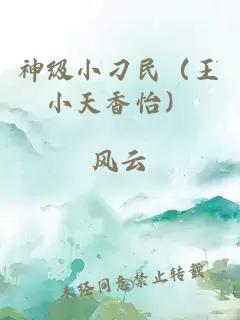 神级小刁民（王小天香怡）