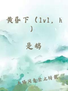 黄昏下（1v1，h）