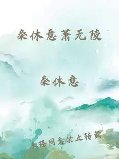 秦休意萧无陵