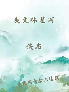 爽文林星河