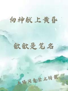 向神献上黄昏