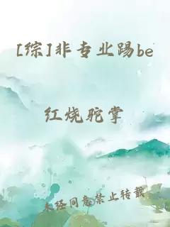 [综]非专业踢be