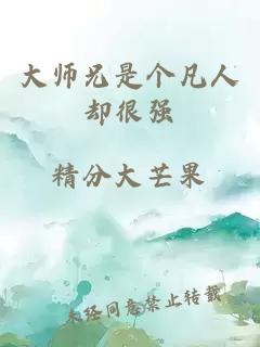 大师兄是个凡人却很强